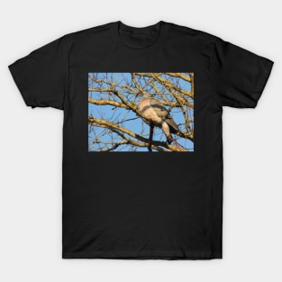 Undisturbed T-Shirt